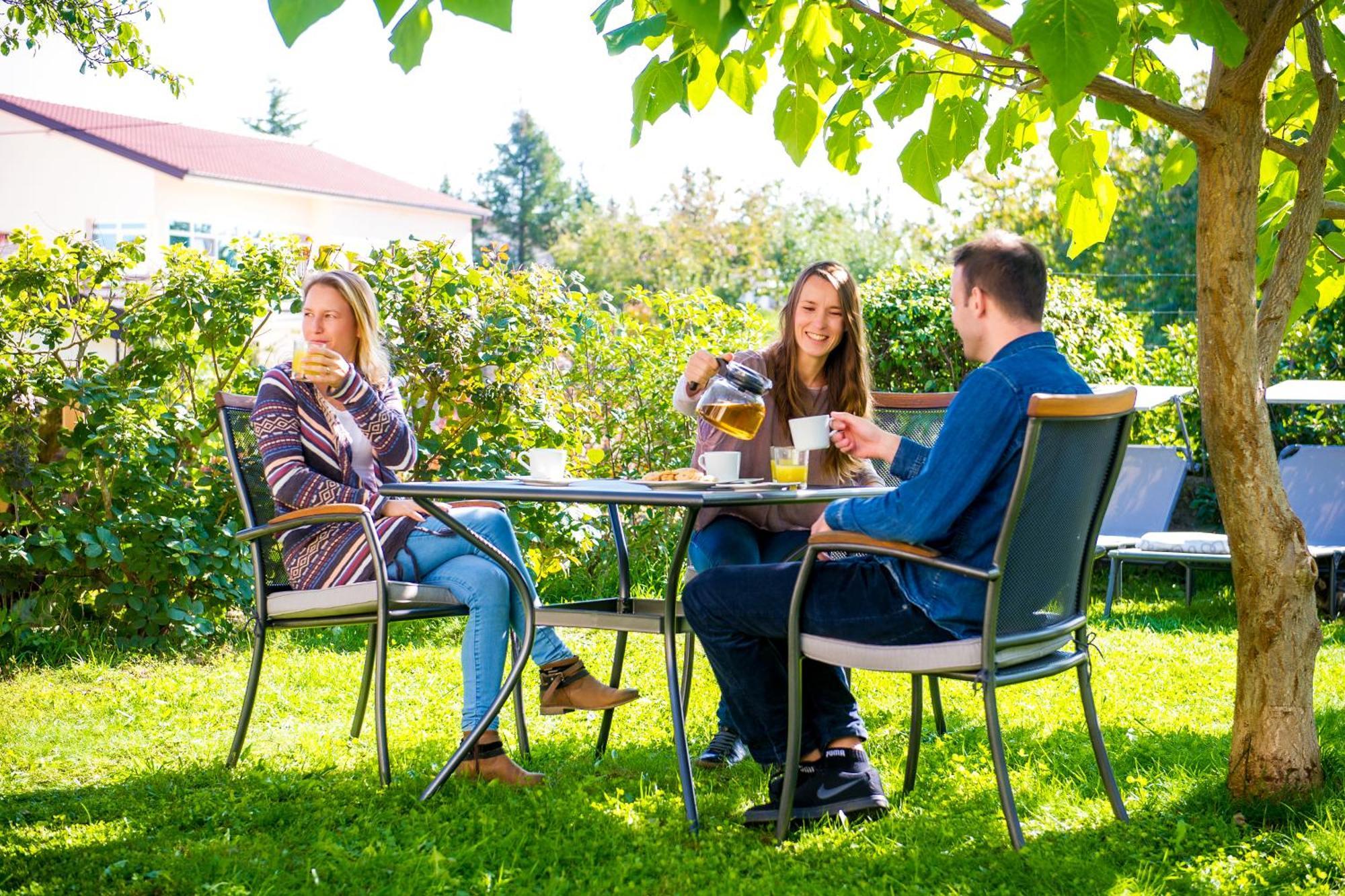 Zenja - Nature Property - Garden - Parking Yard Divaca Exterior photo